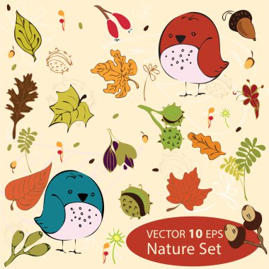 set mini birds