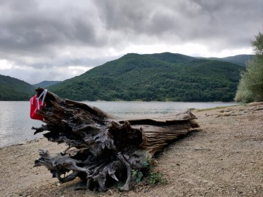 Aziz Jacob 'un İspanya' ya giden yolu bir dağ gölünün kıyısında devrilmiş büyük bir ağaç.