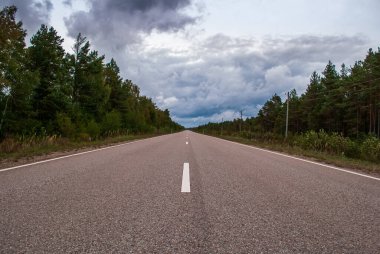 Yol ormanı elektrik direkleri ve gökyüzünde bulutlar karanlık ama yolda asfalt ile berrak beyaz çizgiler var.