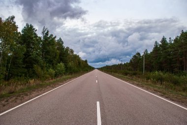 Yol ormanı elektrik direkleri ve gökyüzünde bulutlar karanlık ama yolda asfalt ile berrak beyaz çizgiler var.