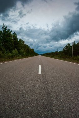 Yol ormanı elektrik direkleri ve gökyüzünde bulutlar karanlık ama yolda asfalt ile berrak beyaz çizgiler var.