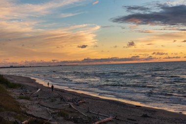 Gün batımı bulutların arkasında su ufkuna yakın sularda parlak güneş ışığının yolunu yansıtıyor ve kumsalın kıyısından her şeyi seyrediyor kumsalda büyük ve küçük ağaçları duruluyor.