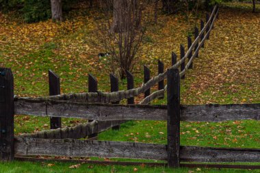 Geniş tahtaları ve yakındaki ağaç dallarından yaprakları dökülen yeşil bir çimenliği olan koyu yatay ahşap çit.