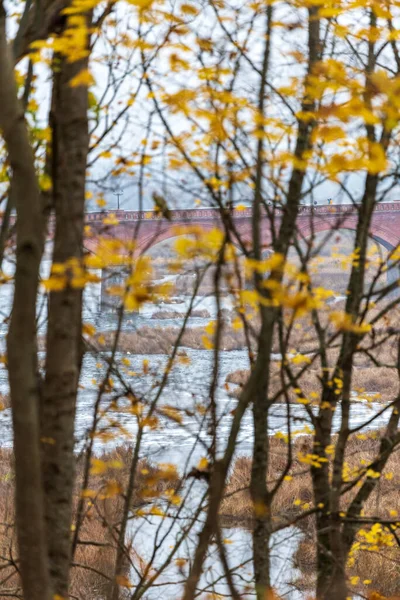 Sonbaharda eski bir tuğla köprü ve köprünün altından daha geniş sulara akan bir nehir.