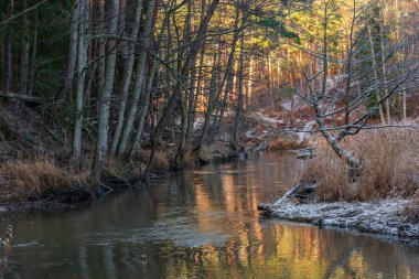 Kışın nehirde, sudaki ağaçlarla birlikte şiddetli rüzgarların ardından ve bazı yerlerde beyaz karlar yağdı.