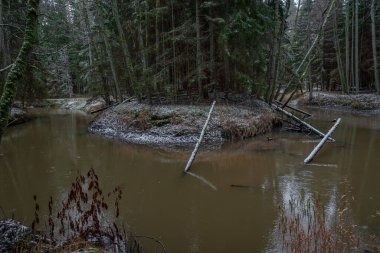 Kışın nehirde, sudaki ağaçlarla birlikte şiddetli rüzgarların ardından ve bazı yerlerde beyaz karlar yağdı.