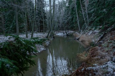 Kışın nehirde, sudaki ağaçlarla birlikte şiddetli rüzgarların ardından ve bazı yerlerde beyaz karlar yağdı.