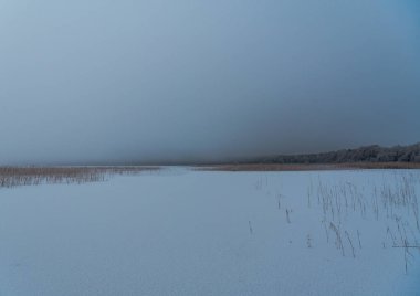 Ormanın kenarında donmuş bir göl gölün kenarında bükülmüş bir göl, karlı bir kar ve bulutlu bir günde ağaçların dalları donuk.