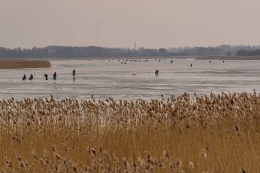 Donmuş nehir, bükük ve buzlu balıkçılar daha fazla balık yakalamak için donmuş bir nehir boyunca ilerliyorlar.
