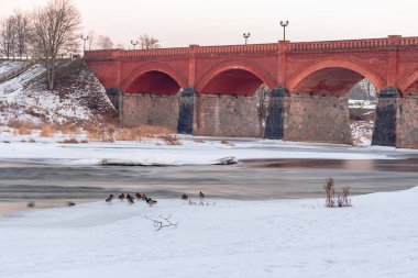 Eski bir taş, tuğla bir köprü ve ördekler nehrin kıyısında oturup çevreyi izliyorlar.