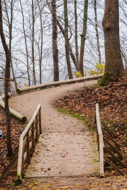 Ahşap köprü hendeğin üzerindeki doğa patikalarını birbirine bağlar ve sonbahar havasında doğanın muhteşem çeşitliliğinde ve ihtişamında yol sizi daha uzağa götürür..
