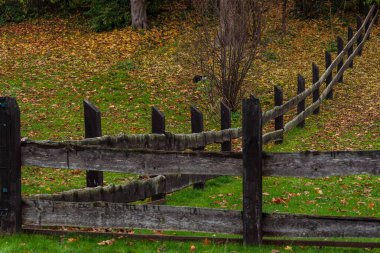 Geniş tahtaları ve yakındaki ağaç dallarından yaprakları dökülen yeşil bir çimenliği olan koyu yatay ahşap çit.