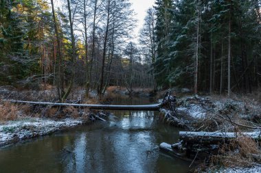 Kışın nehirde, sudaki ağaçlarla birlikte şiddetli rüzgarların ardından ve bazı yerlerde beyaz karlar yağdı.