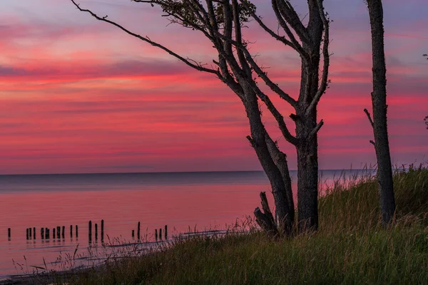 Arbre Sur Rivage Eau Après Coucher Soleil Ciel Rougeâtre Reflété — Photo