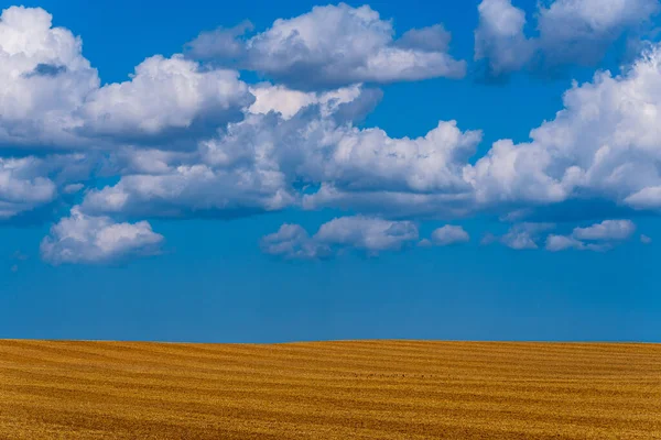 Campo Cultura Listrado Após Colheita Amarelo Laranja Com Céu Azul — Fotografia de Stock