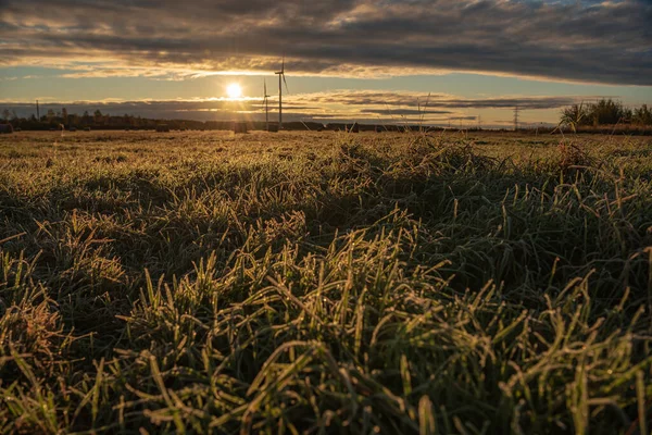 Amanecer Prado Los Generadores Viento Giran Para Producir Electricidad Hierba — Foto de Stock