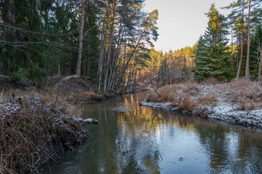 Kışın nehirde, sudaki ağaçlarla birlikte şiddetli rüzgarların ardından ve bazı yerlerde beyaz karlar yağdı.