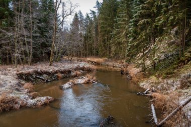 Kışın nehirde, sudaki ağaçlarla birlikte şiddetli rüzgarların ardından ve bazı yerlerde beyaz karlar yağdı.