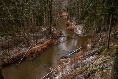 Kışın nehirde, sudaki ağaçlarla birlikte şiddetli rüzgarların ardından ve bazı yerlerde beyaz karlar yağdı.