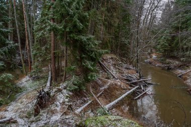 Kışın nehirde, sudaki ağaçlarla birlikte şiddetli rüzgarların ardından ve bazı yerlerde beyaz karlar yağdı.