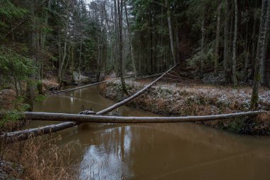 Kışın nehirde, sudaki ağaçlarla birlikte şiddetli rüzgarların ardından ve bazı yerlerde beyaz karlar yağdı.