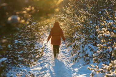 Kışın, karla kaplı çimenler ve güneş tarafından aydınlatılan yayalar bir dizi doğayı aydınlatır.