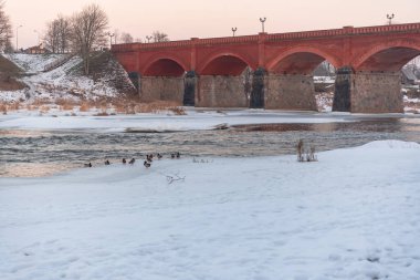 Eski bir taş, tuğla bir köprü ve ördekler nehrin kıyısında oturup çevreyi izliyorlar.