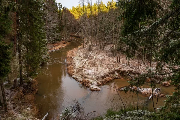 Зимой Река Лесу Деревьями Воде Упавшими После Сильного Ветра Местами — стоковое фото