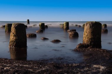 Baltık Denizi kıyılarına demir atmış eski tekneler ve üzerinde deniz kuşları geçmişteki balıkçılığın tarihi bir kanıtı olarak oturuyorlar.