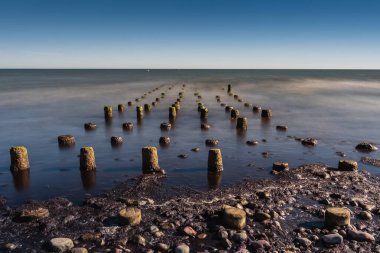 Baltık Denizi kıyılarına demir atmış eski tekneler ve üzerinde deniz kuşları geçmişteki balıkçılığın tarihi bir kanıtı olarak oturuyorlar.