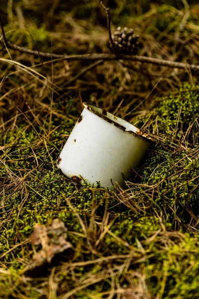 Biraz paslı görünümlü beyaz metal kupa bir çam ormanında terk edilmiş yumuşak yosunlarda yatıyor.