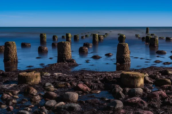 Alte Bootsanlegestellen Den Ufern Der Ostsee Und Darauf Sitzende Seevögel — Stockfoto