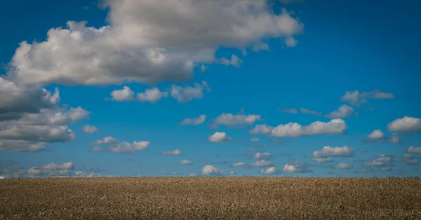 Campo Cultivo Com Nuvens Nos Campos Dia Ensolarado Pronto Para — Fotografia de Stock