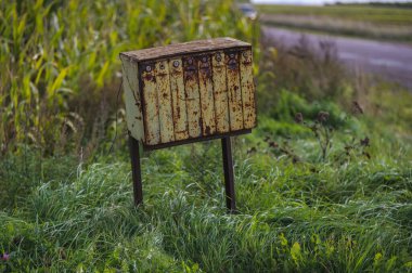 Güneşli bir günde mısır tarlasının yanında paslı sarı bir posta kutusu ve posta kutusunun altında rüzgarda sallanan uzun bir ot.