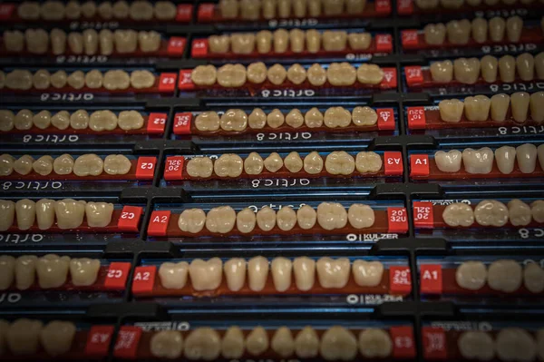Próbki Ludzkich Sztucznych Zębów Dla Technika Dentystycznego Celu Stworzenia Zastępstwa — Zdjęcie stockowe