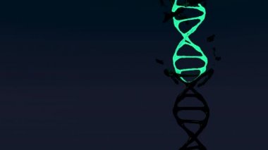 Gerçekçi bir DNA 3D modeli koyu arkaplanda döner