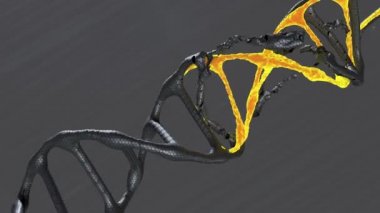 Gerçekçi bir DNA 3D modeli koyu arkaplanda döner
