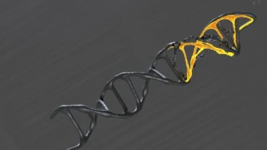 Gerçekçi bir DNA 3D modeli koyu arkaplanda döner