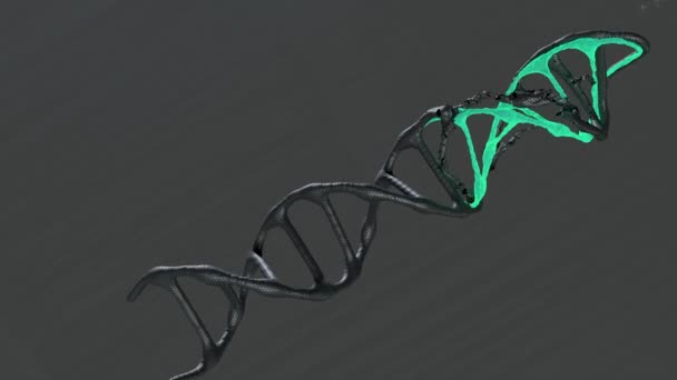 Realistic Dna Model Rotate Dark Background — Stock Video