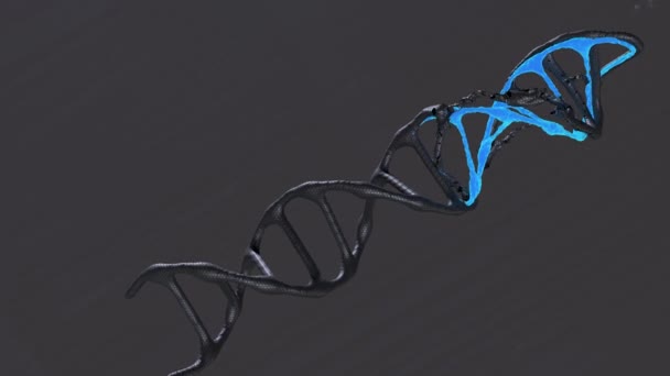 Modelo Realista Dna Rotar Sobre Fondo Oscuro — Vídeos de Stock