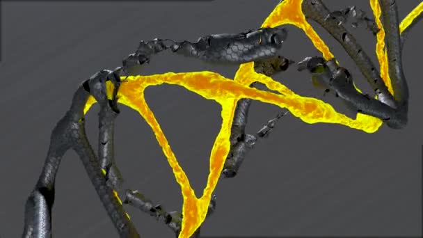 Egy Reális Dns Modell Forog Sötét Háttér — Stock videók