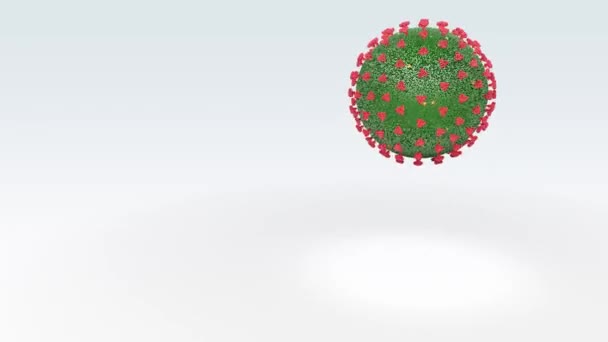 Coronavirus Springt Auf Dem Weißen Hintergrund Nahtlose Schleife Covid — Stockvideo