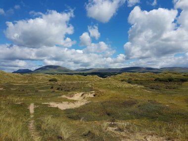 Kuzey Galler 'de Talybont plajının kum tepeleri boyunca manzara.