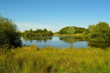 Köy gölü yapraklı ağaçlar ve yeşil otlarla çevrili..