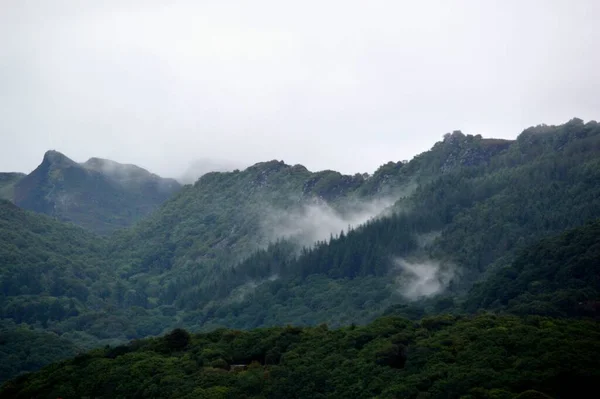 Uma Paisagem Florestal Enevoada — Fotografia de Stock