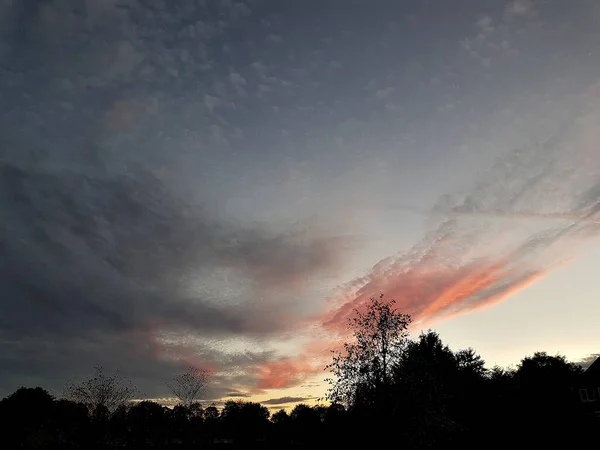 Céu Crepúsculo Noite Com Topos Árvores Silhuetas Contra Céu Noturno — Fotografia de Stock