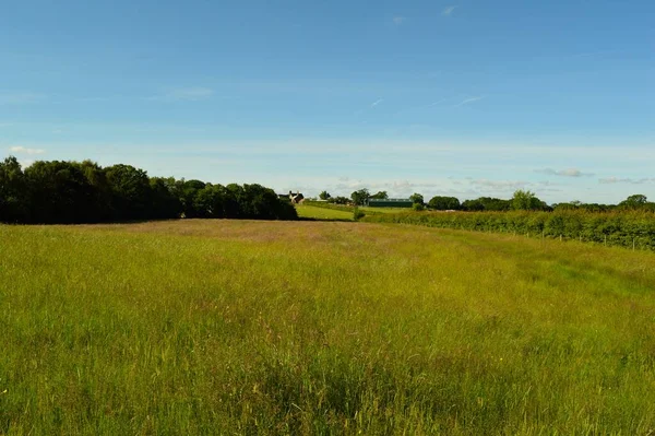 Landenveld Wales Met Lang Gras — Stockfoto