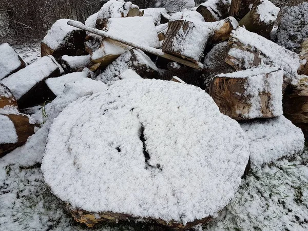 Montón Troncos Cubiertos Nieve — Foto de Stock