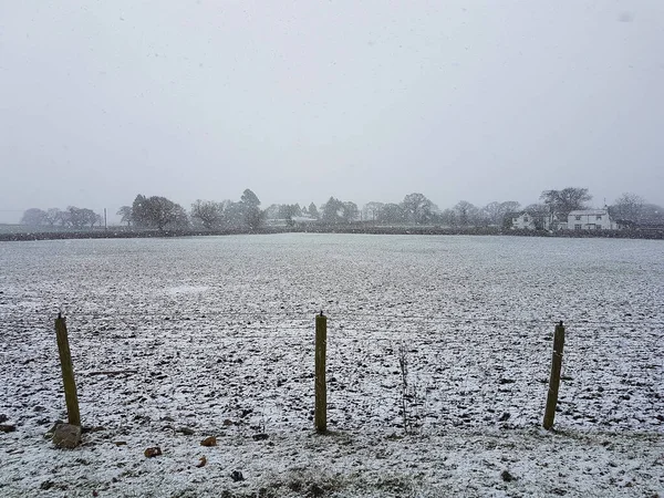 Invierno Mañana Nieve Paisaje Con Campo Cubierto Nieve — Foto de Stock