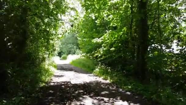 最初の人は 太陽からのレンズフレアを持つ晴れた日に北ウェールズ州金型でブリドルパスを歩いてビデオ映像を表示します — ストック動画